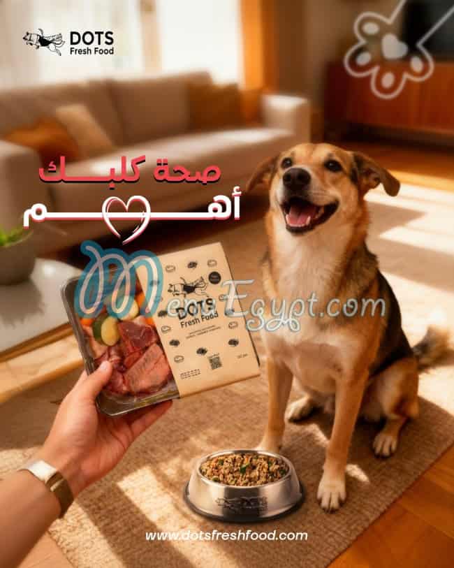 Dots fresh food delivery