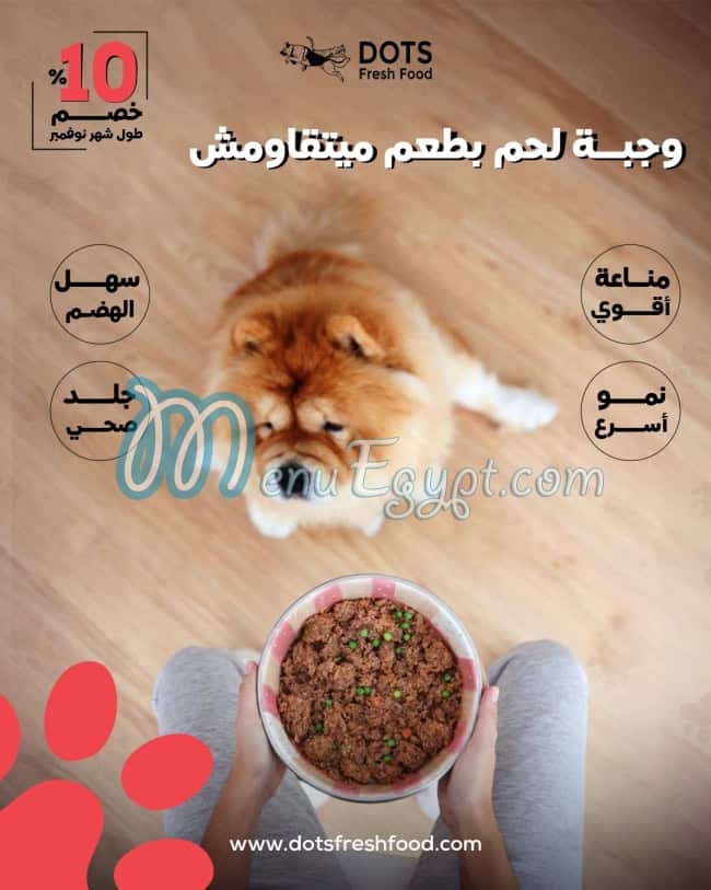 Dots fresh food menu Egypt 1