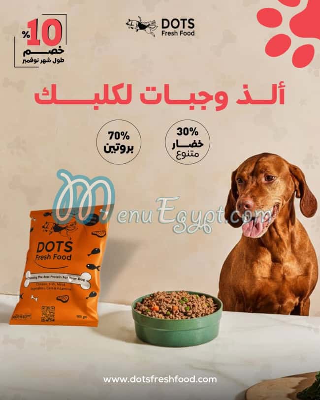 Dots fresh food menu Egypt 2