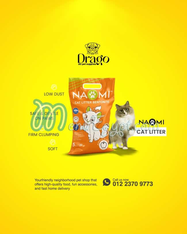 مطعم دراجو بيت شوب مصر