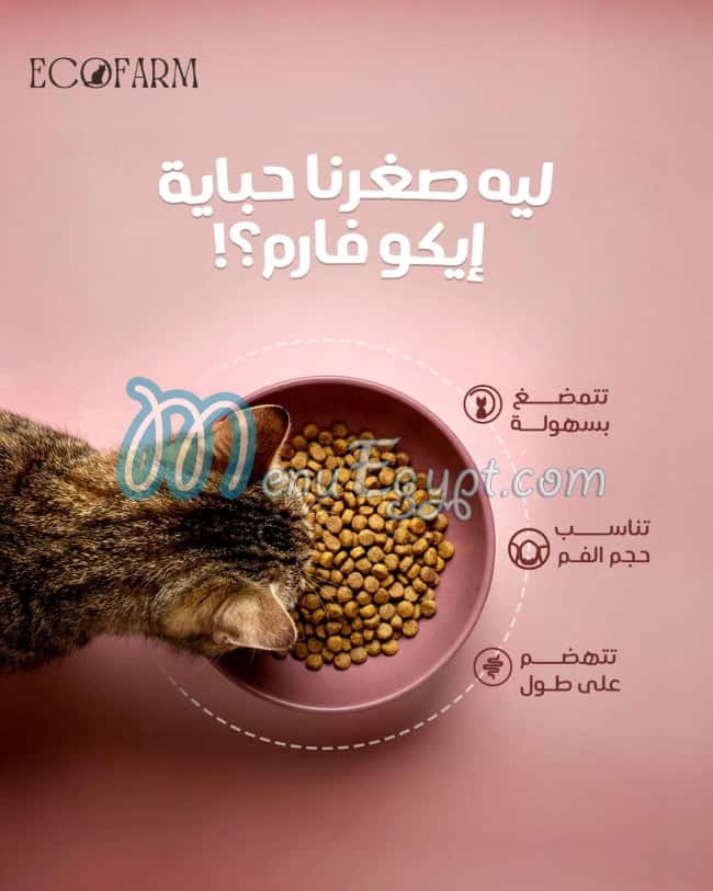 Ecofarm egypt