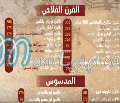 El Dawar Tanta menu Egypt 2