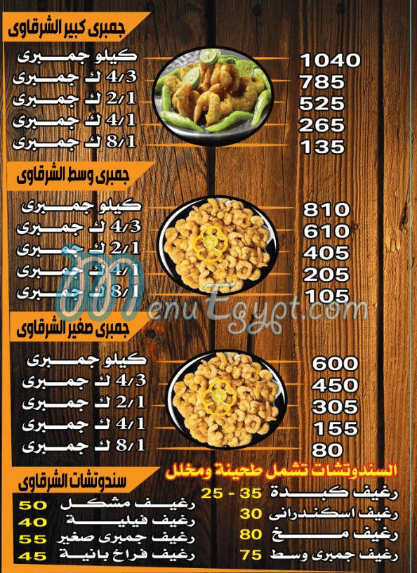 El Sharqawy Bader egypt