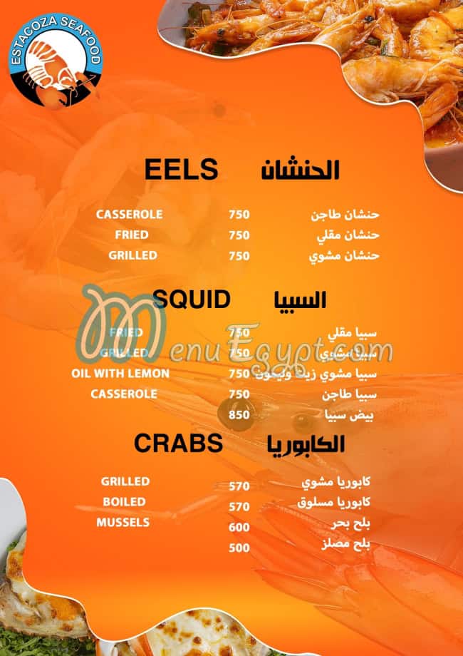 استاكوزا جروب مصر الخط الساخن