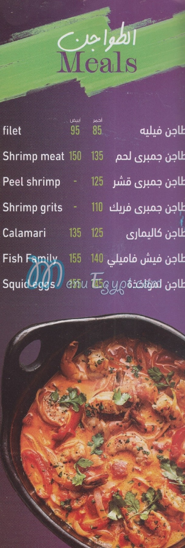 Family Fish egypt