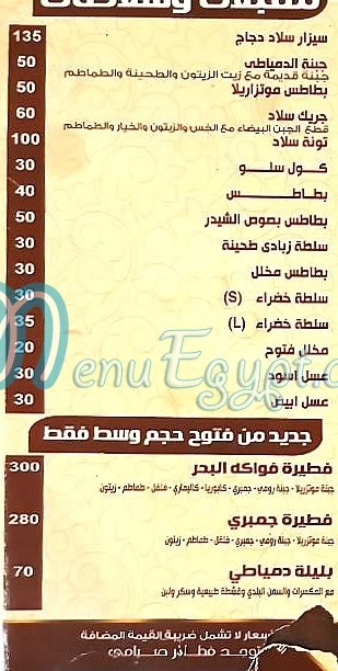 مطعم مطعم وكافيه فتوح راس البر مصر