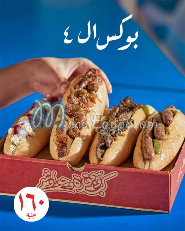 فل فينو مصر الخط الساخن