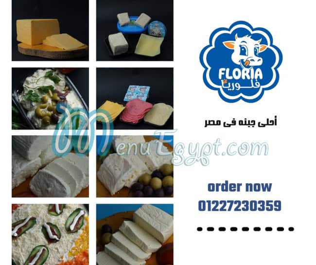 فلوريا مصر الخط الساخن