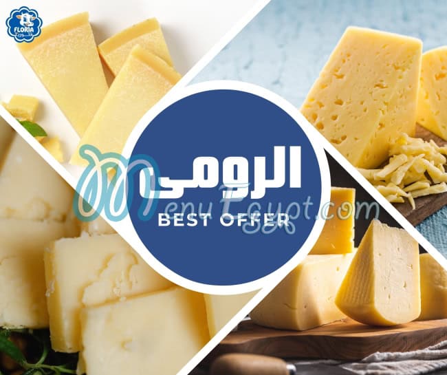 رقم فلوريا مصر