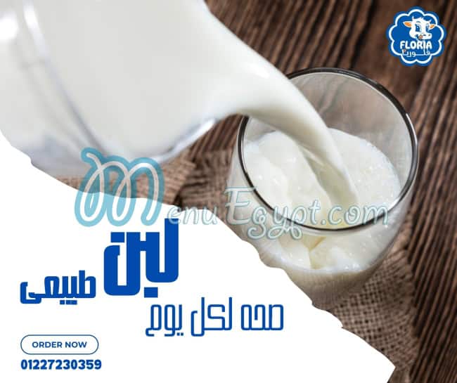 فلوريا مصر