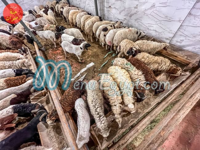 جزارة جنة رضوان مصر منيو بالعربى