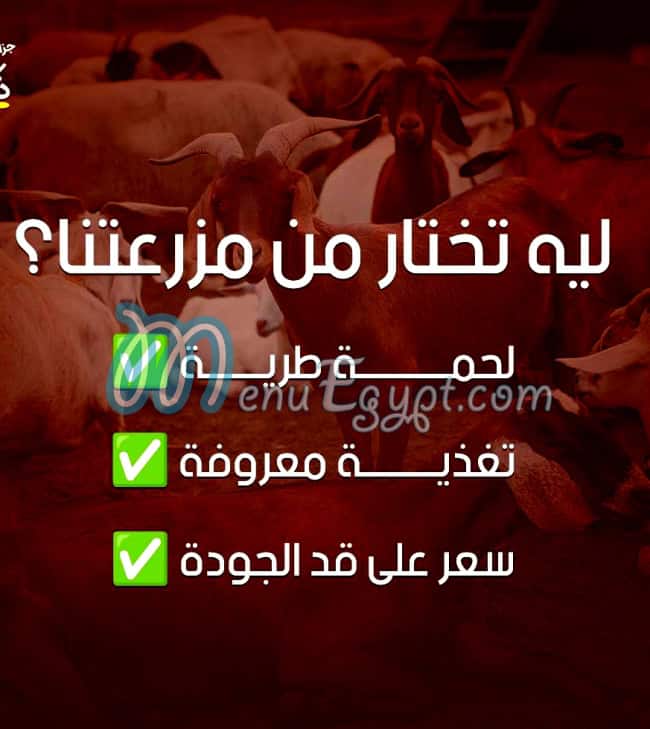 Gezaret Abo Zekry menu
