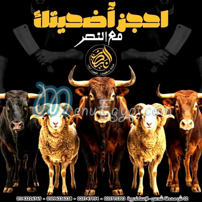 Gezaret We Mashwyat Al Nasr egypt