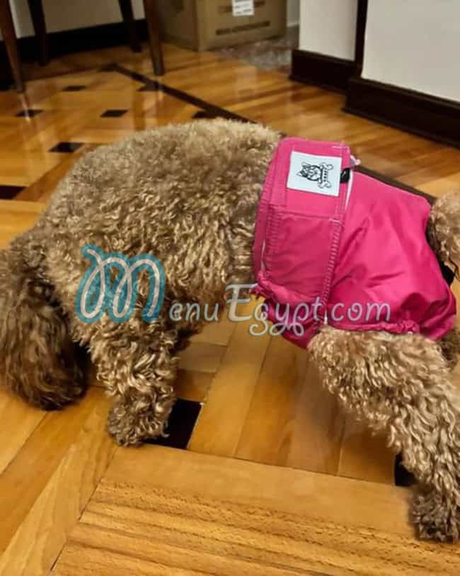 منيو جوفي مصر