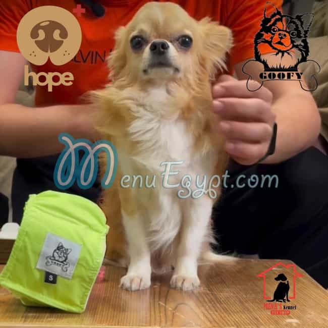 جوفي مصر منيو بالعربى