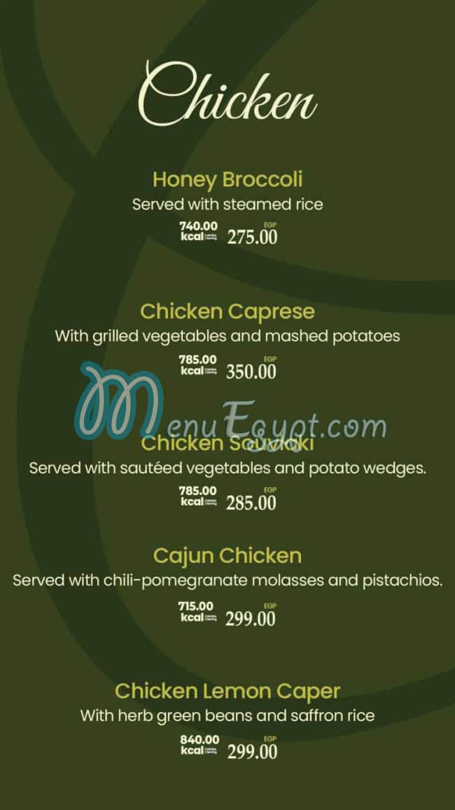 Green Gourmet menu Egypt 12