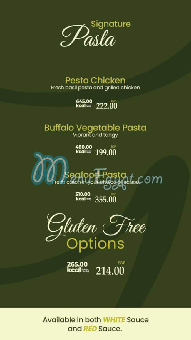 Green Gourmet menu Egypt 1