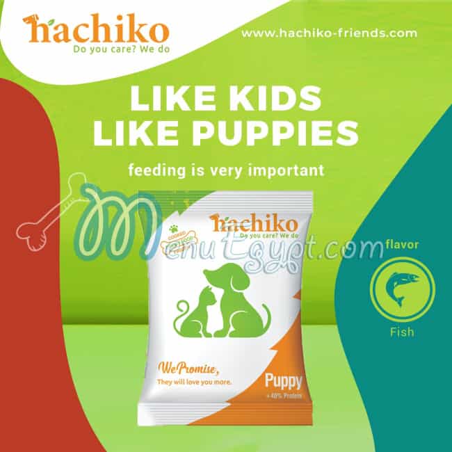 Hachiko Friends menu Egypt