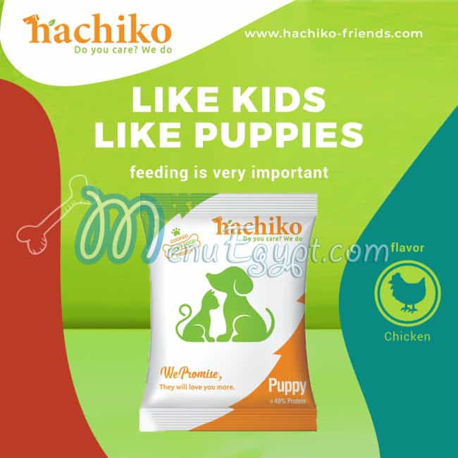 Hachiko Friends delivery