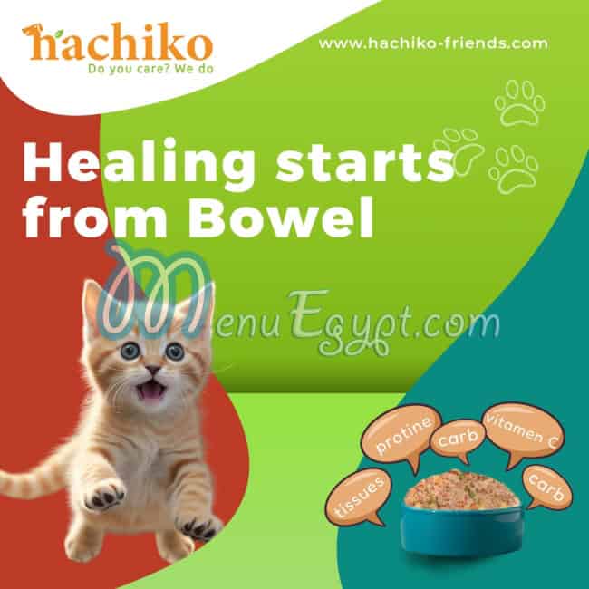 Hachiko Friends online menu