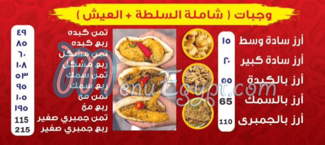 Hamdy El Sharkawy egypt