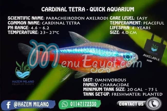 Hazem Milano pets shop menu Egypt 1