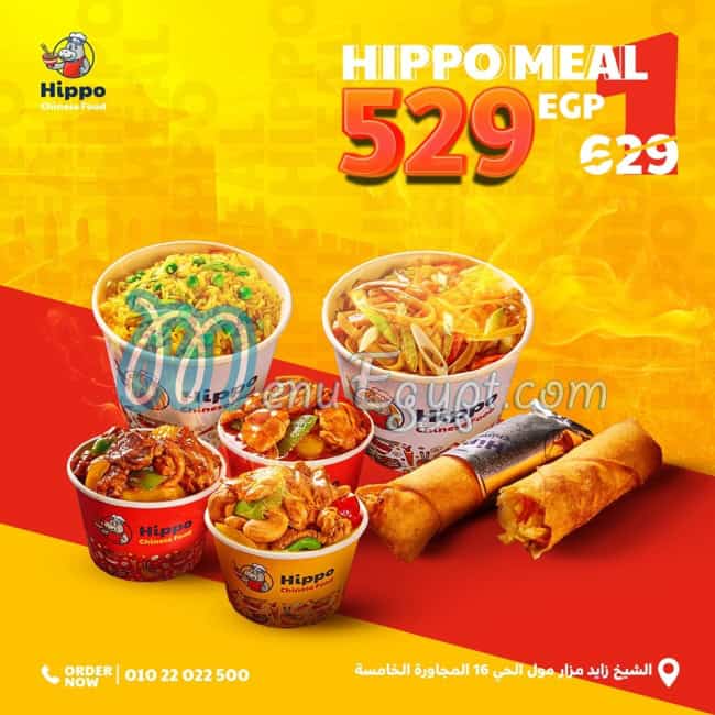 Hippo Chinese Food delivery