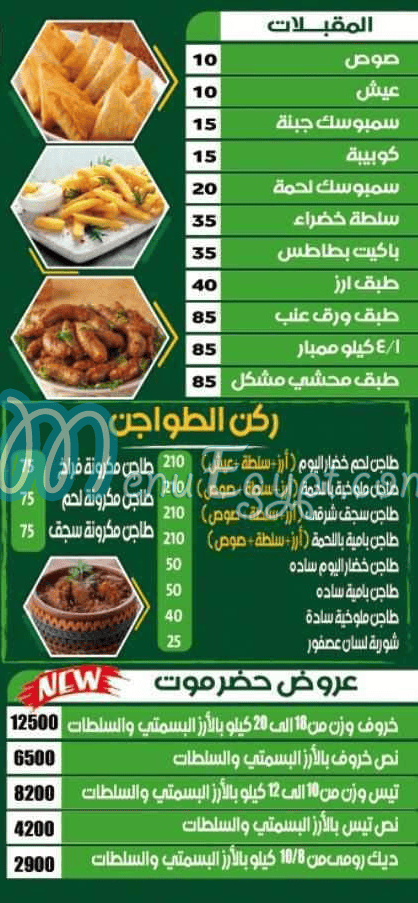 حضرموت  داندي مصر الخط الساخن