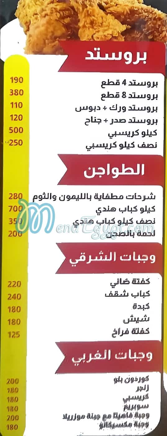 Kamel  El Demshqy egypt