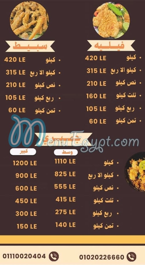 kbda and brain zizo elshrkaoy egypt