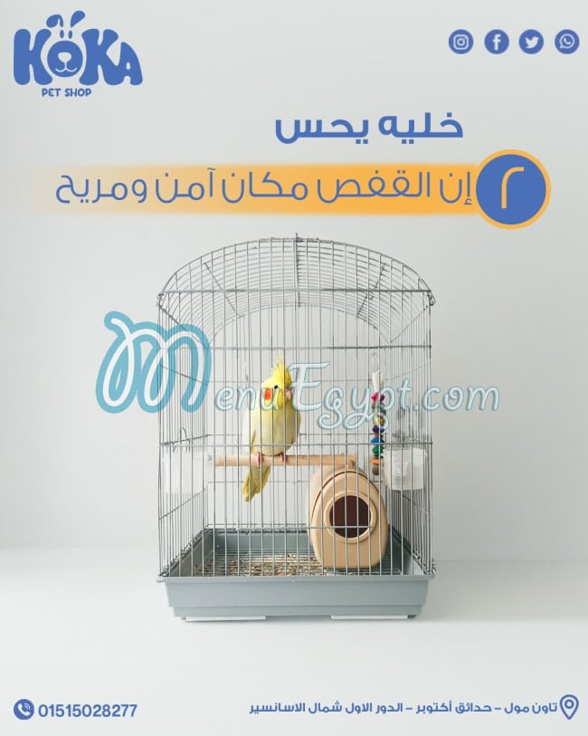 كوكا بيت شوب مصر الخط الساخن