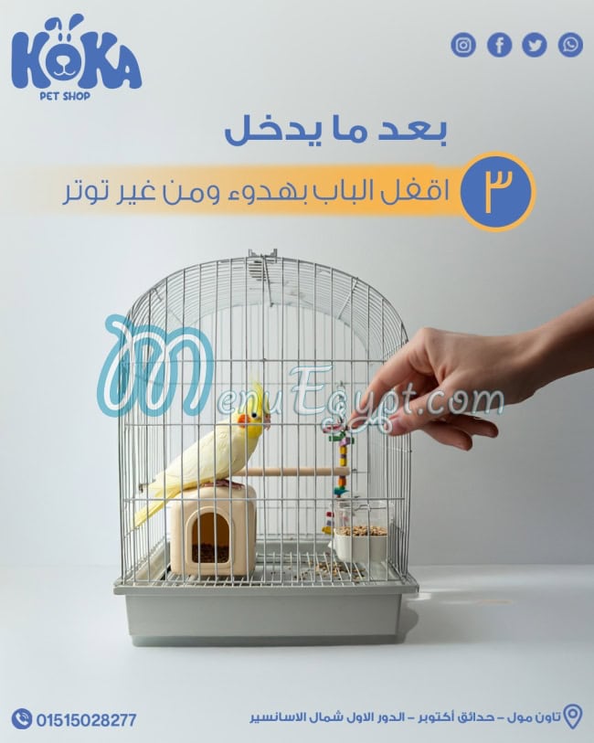 كوكا بيت شوب منيو