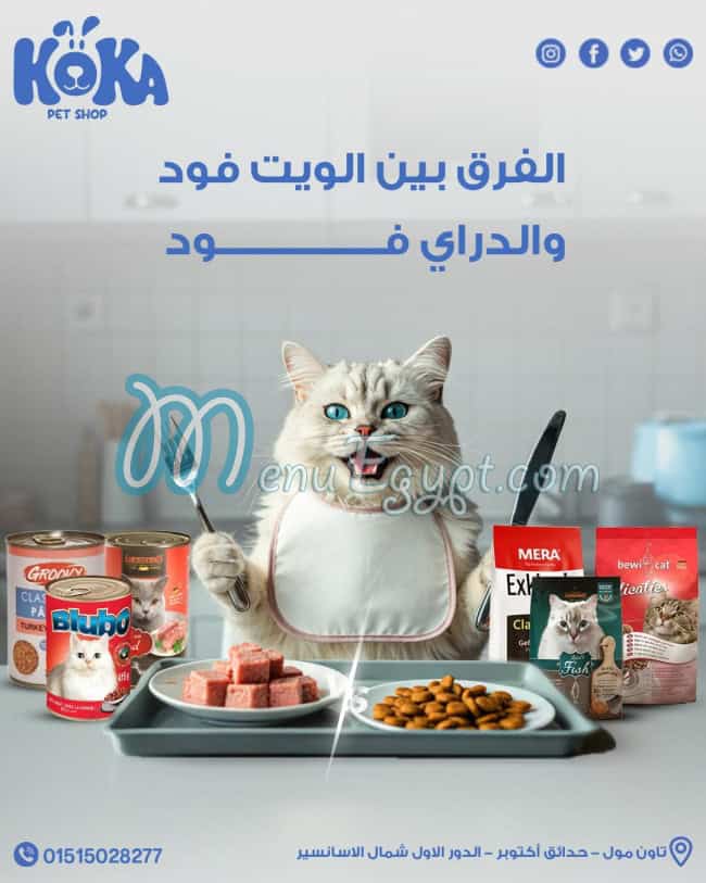 رقم كوكا بيت شوب مصر