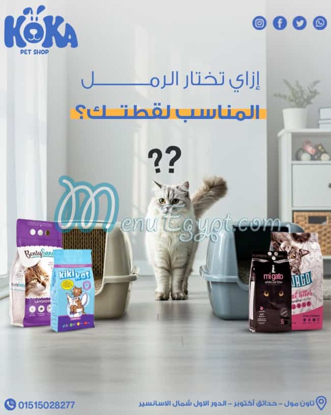 كوكا بيت شوب مصر