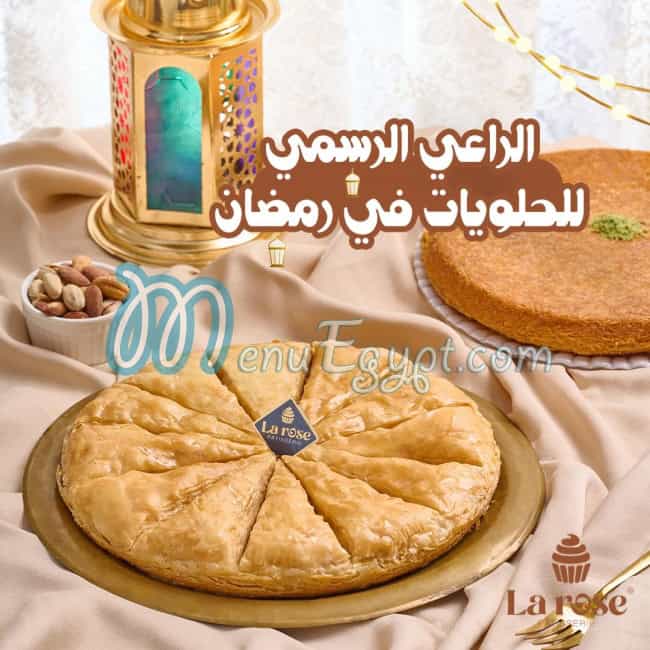 لاروز مصر الخط الساخن