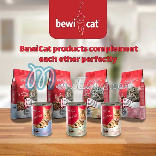 Leonardo Egypt delivery