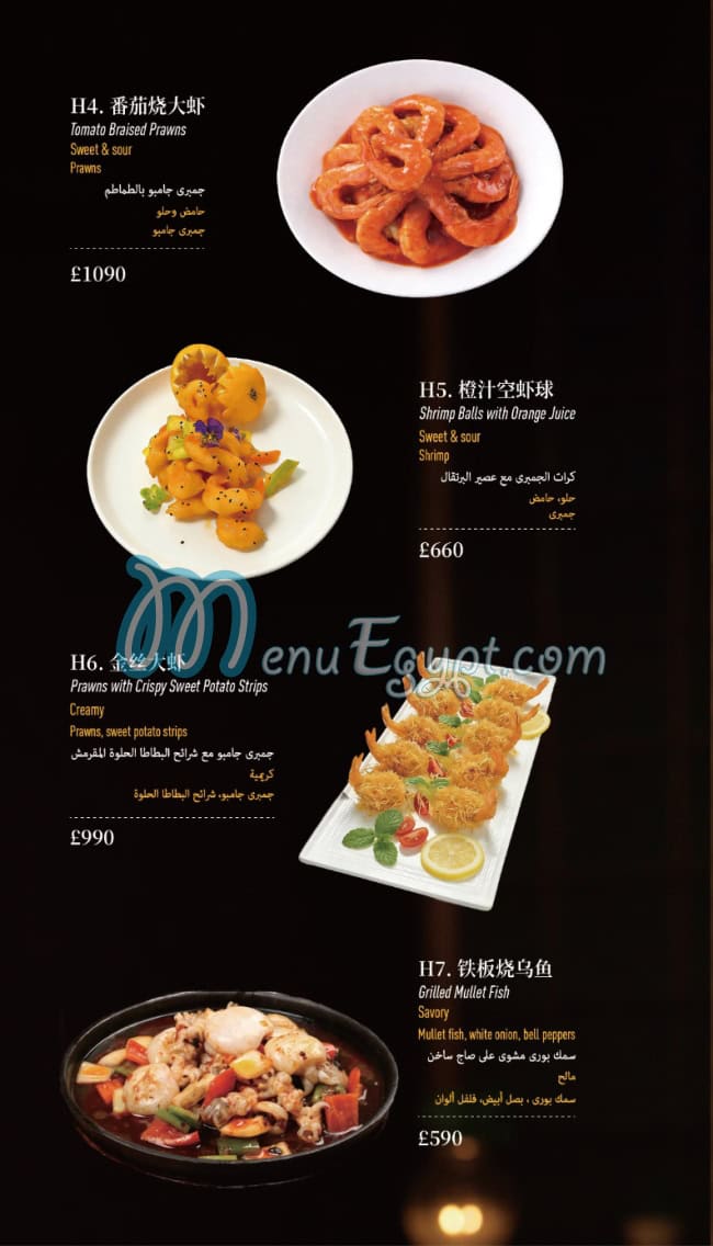 Loong Ding Xuan menu Egypt 4