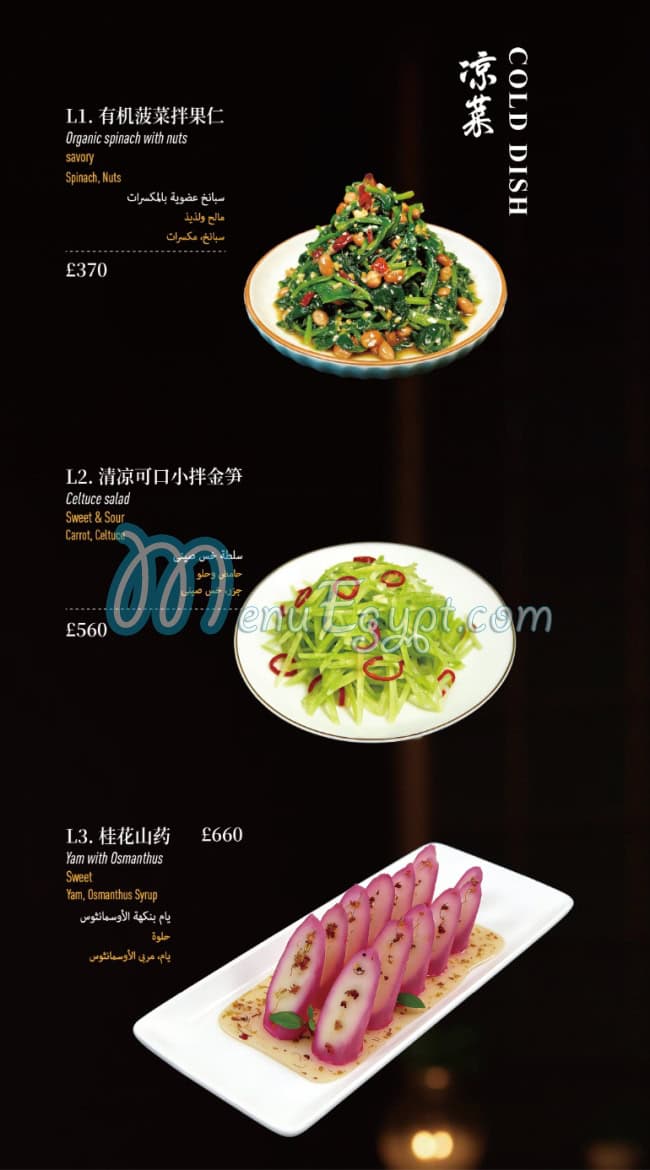 Loong Ding Xuan menu Egypt 8