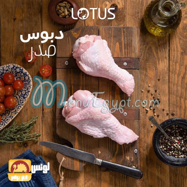 LOTUS menu Egypt 6