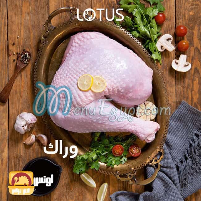 LOTUS menu Egypt 8