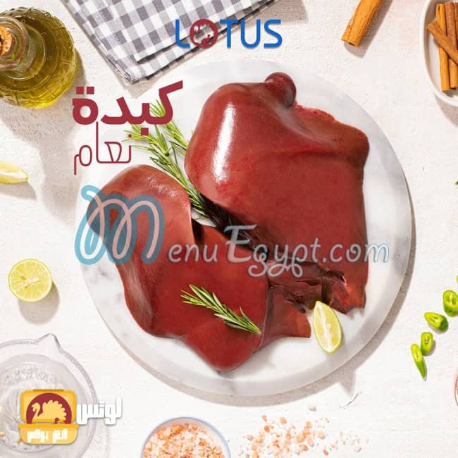 LOTUS menu Egypt 9