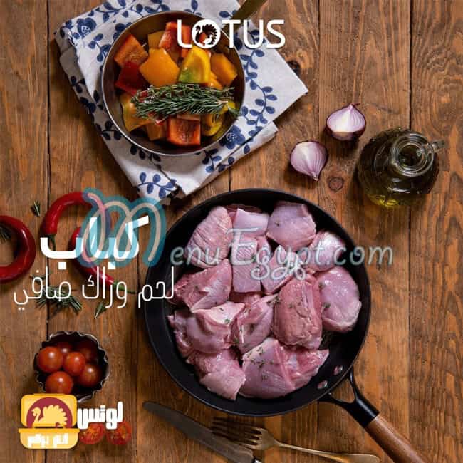 LOTUS menu Egypt 10