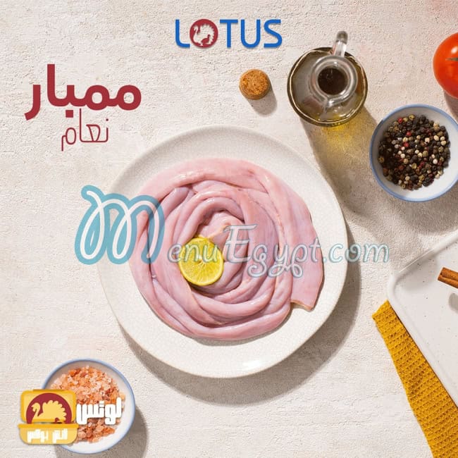 LOTUS menu Egypt 11