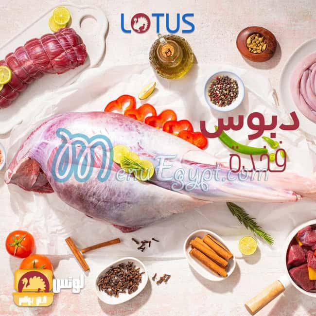 LOTUS menu Egypt 2