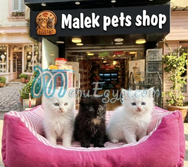Malek Pets Shop delivery
