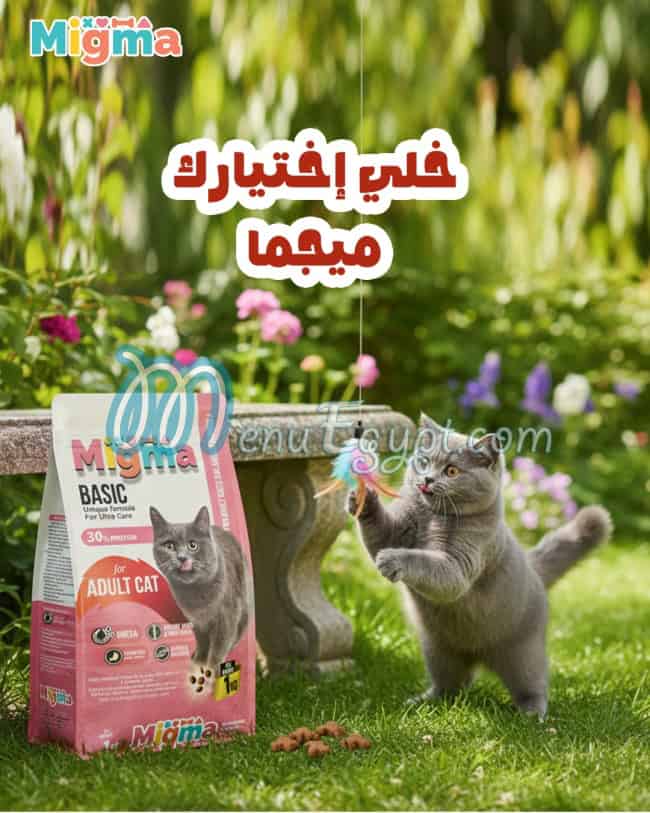 MIGMA menu Egypt