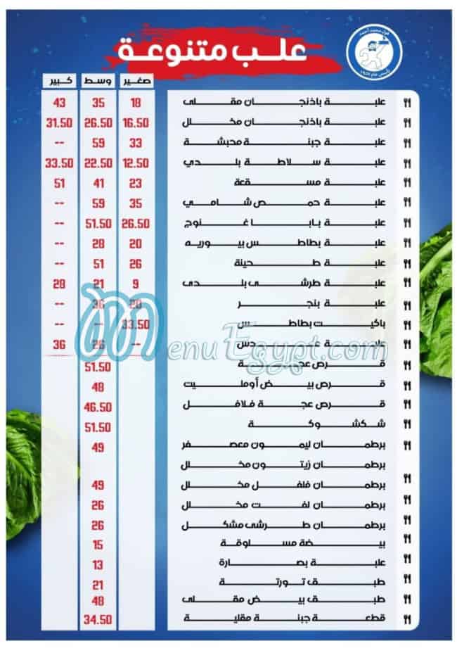 فول محمد احمد مصر الخط الساخن