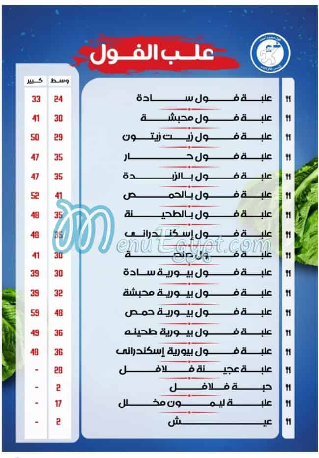 فول محمد احمد مصر