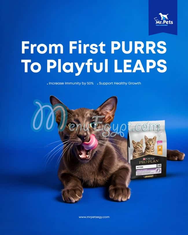 Mr Pets EGY menu Egypt