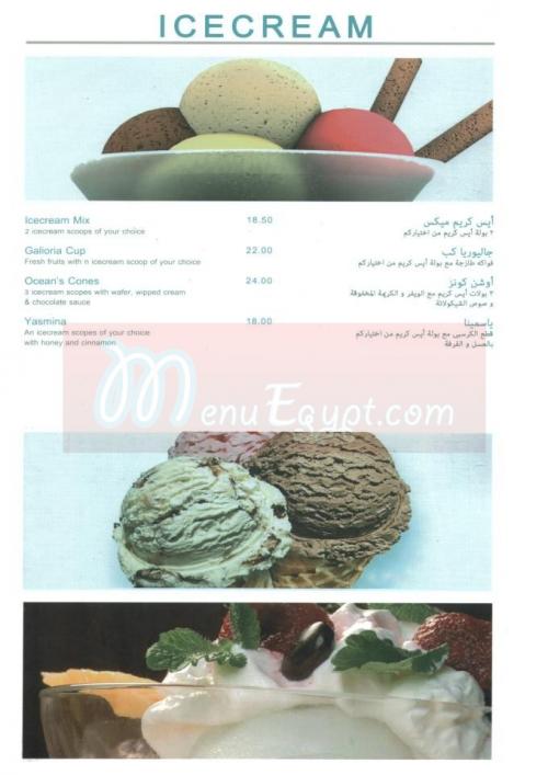 Oceans menu Egypt 9